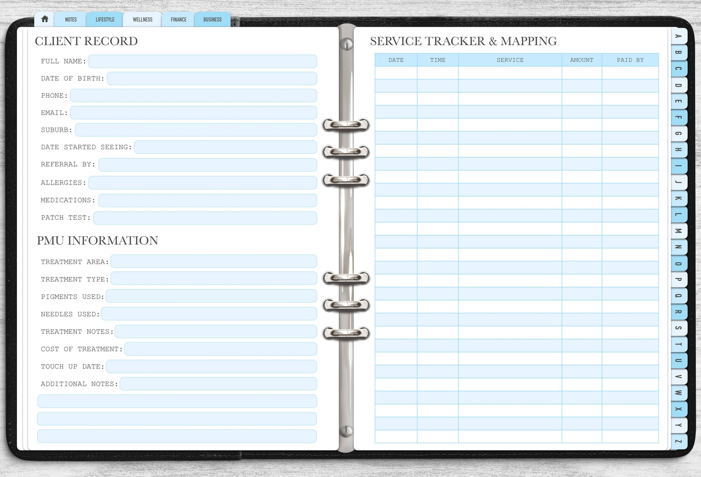 Ultimate PMU Client Record Book - Digital