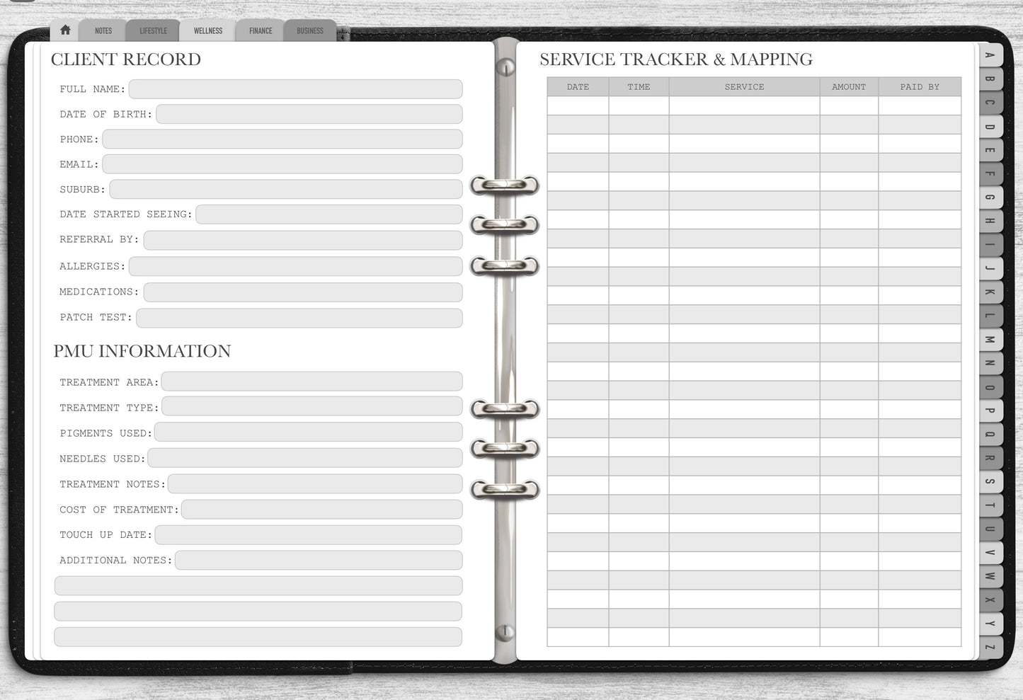 Ultimate PMU Client Record Book - Digital