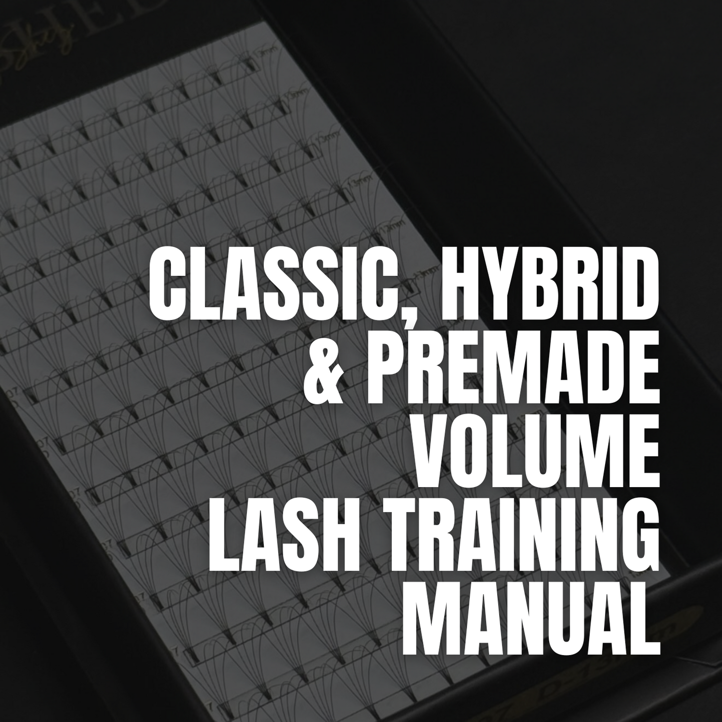Classic, Hybrid & Premade Volume Lash Training - Ebook